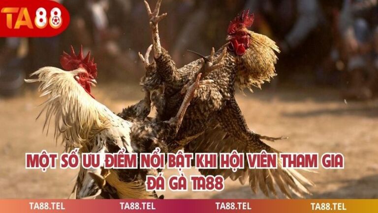 Đá Gà Ta88 Sân Chơi Cá Cược Hấp Dẫn Cho Các Kê Thủ 3 Một số ưu điểm nổi bật khi hội viên tham gia đá gà ta88
