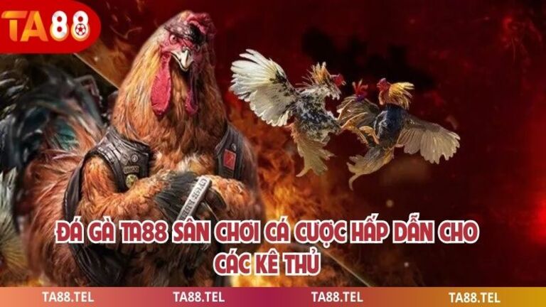 Đá Gà Ta88 Sân Chơi Cá Cược Hấp Dẫn Cho Các Kê Thủ 1 đá gà ta88