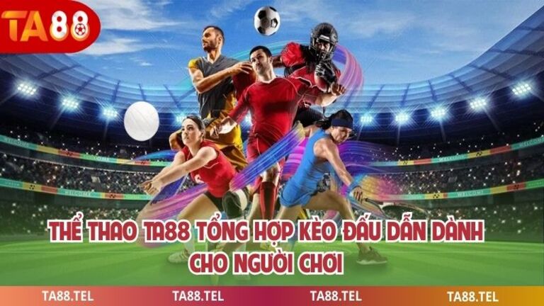 Thể Thao Ta88 Tổng Hợp Kèo Đấu Dẫn Dành Cho Người Chơi 1 Thể thao ta88